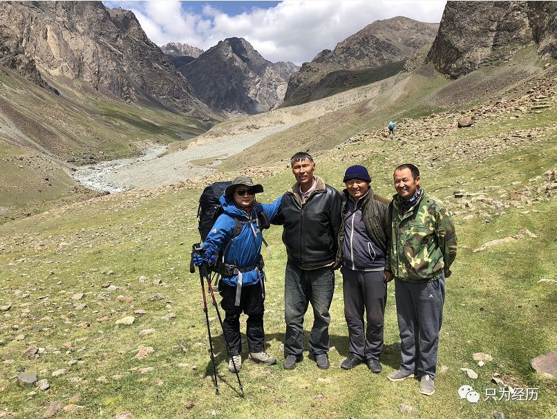 博格达雪莲花简介,雪莲花博格达