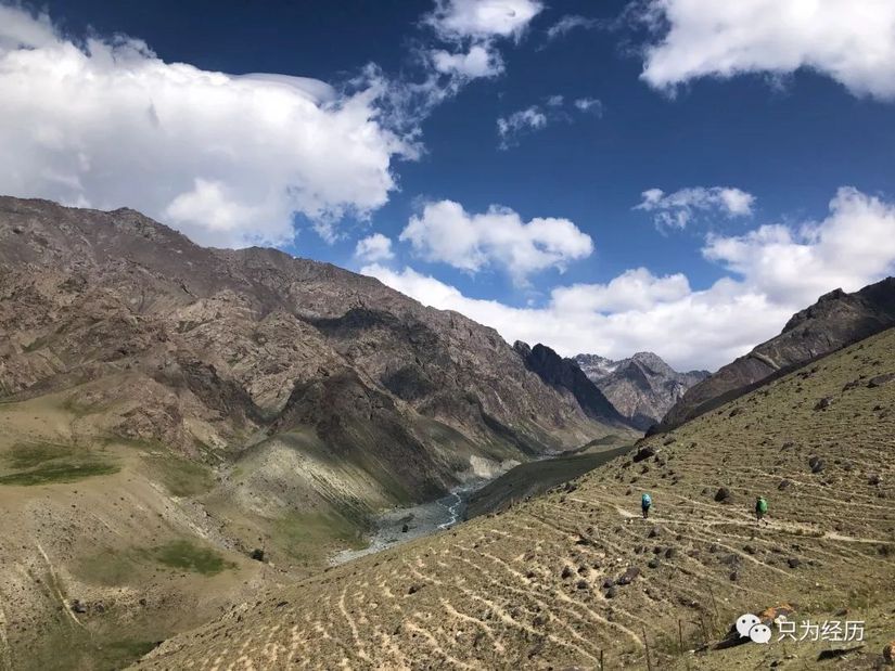 博格达雪莲花简介,雪莲花博格达
