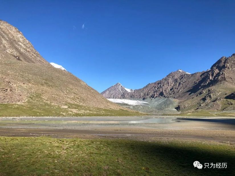 博格达雪莲花简介,雪莲花博格达