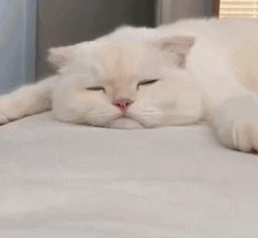 攀枝花旅游必备,攀枝花旅游产品