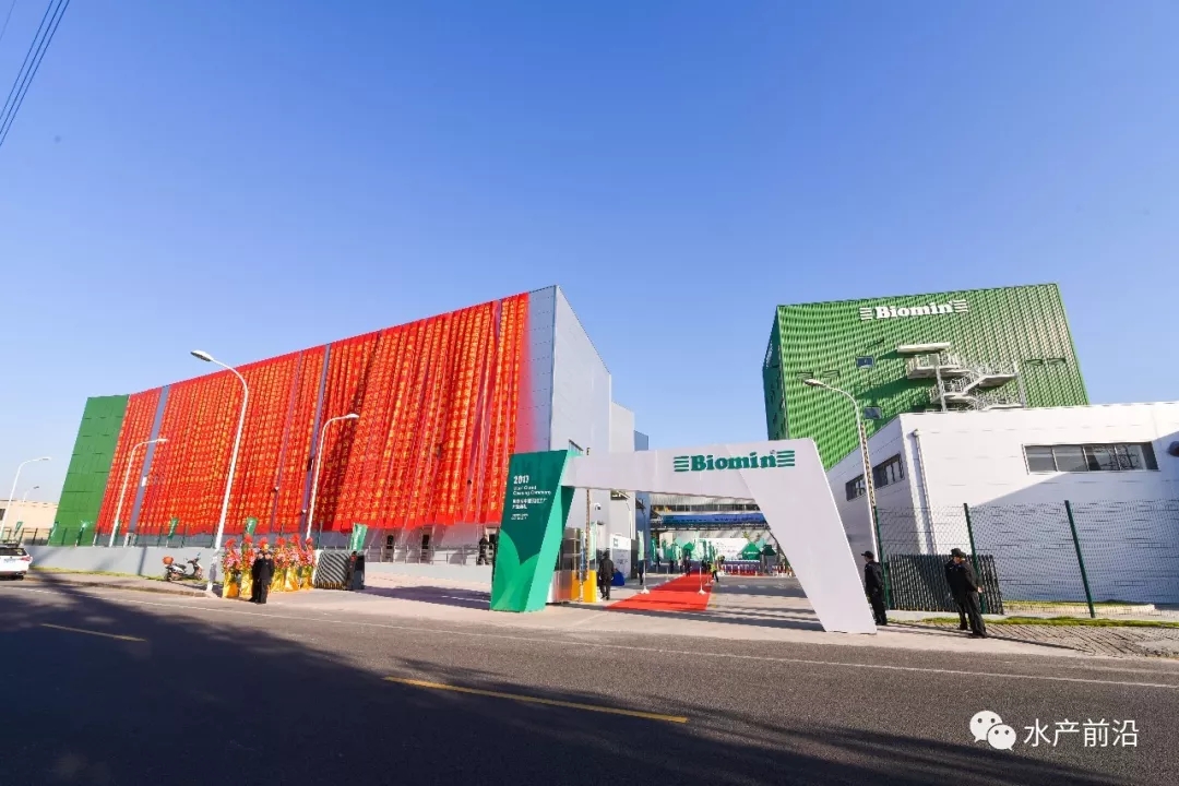 霉菌毒素害猪怎么治,常见霉菌毒素危害