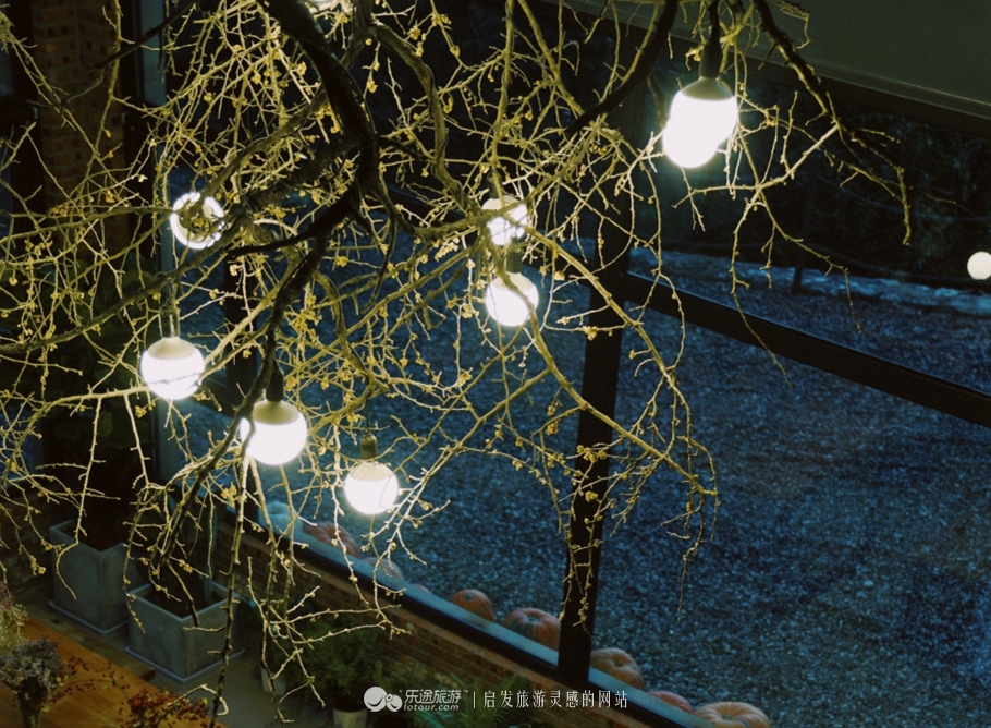 蜡笔森林在哪,蜡笔森林亲子游