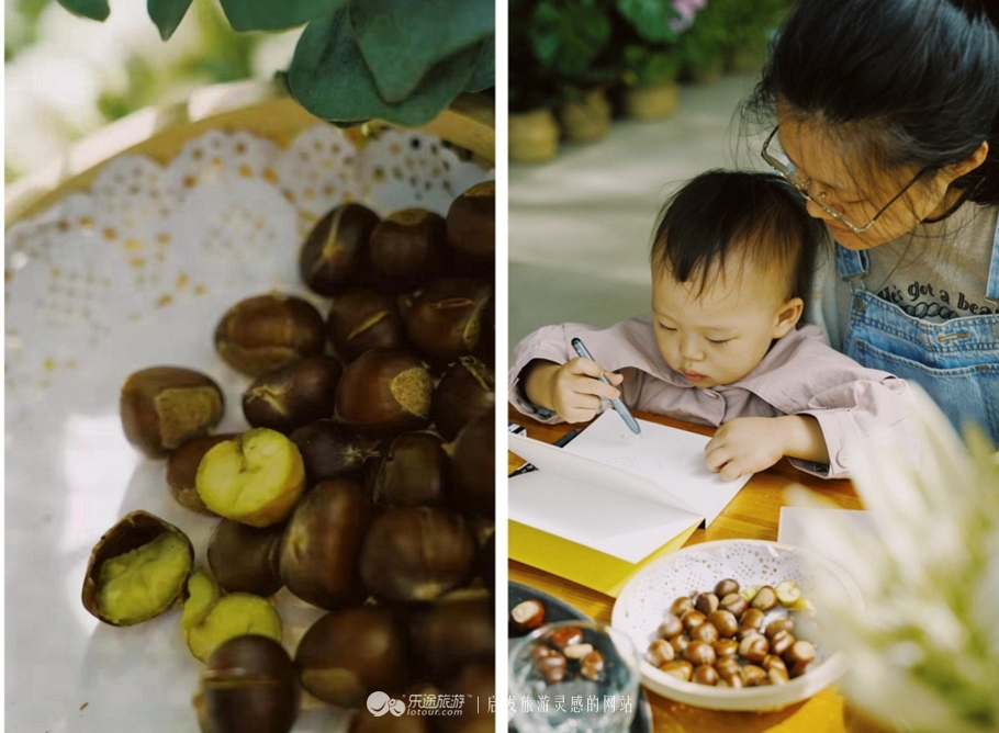 蜡笔森林在哪,蜡笔森林亲子游