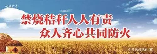 莱州十大学校排名,山东莱州重点学校