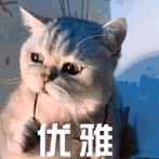 今年双11也太拼了吧！捡便宜捡到爽