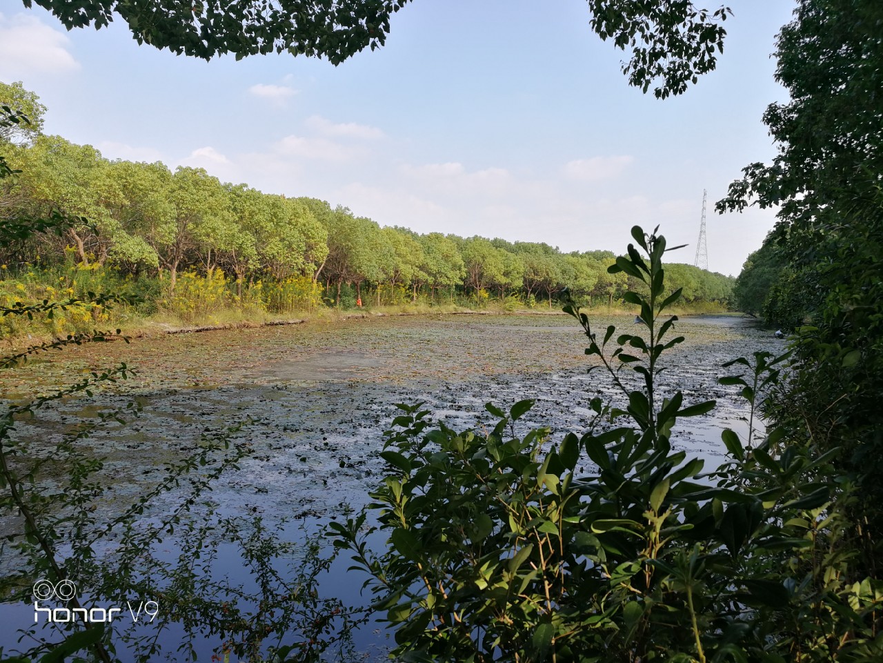 传统钓七星漂线组,传统钓七星漂线组视频