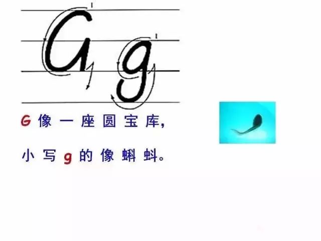 衡水体考题答题卡,衡水体答题卡效果图