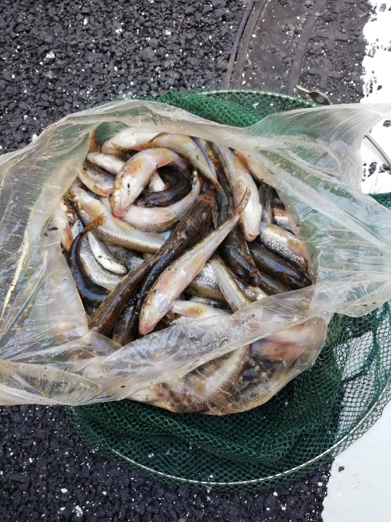 在垂钓的过程中如何知道铅坠到底,移动铅坠的正确钓法