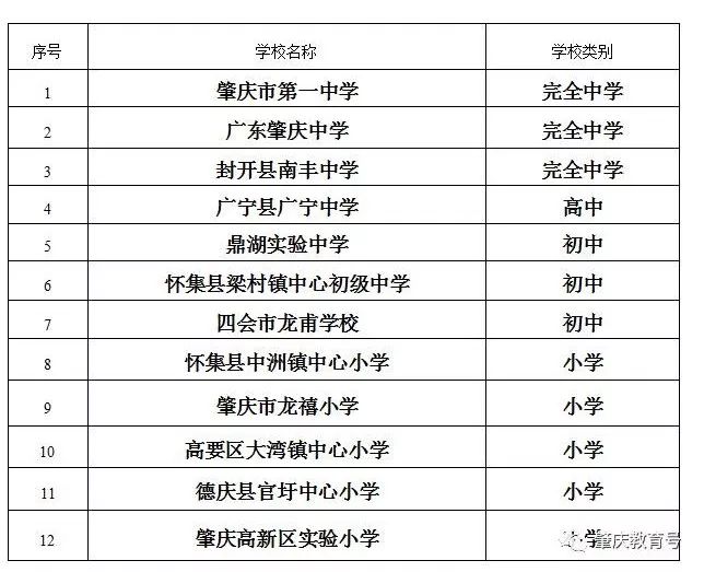 肇庆市十大小学排名一览表,广东肇庆足球学校排名
