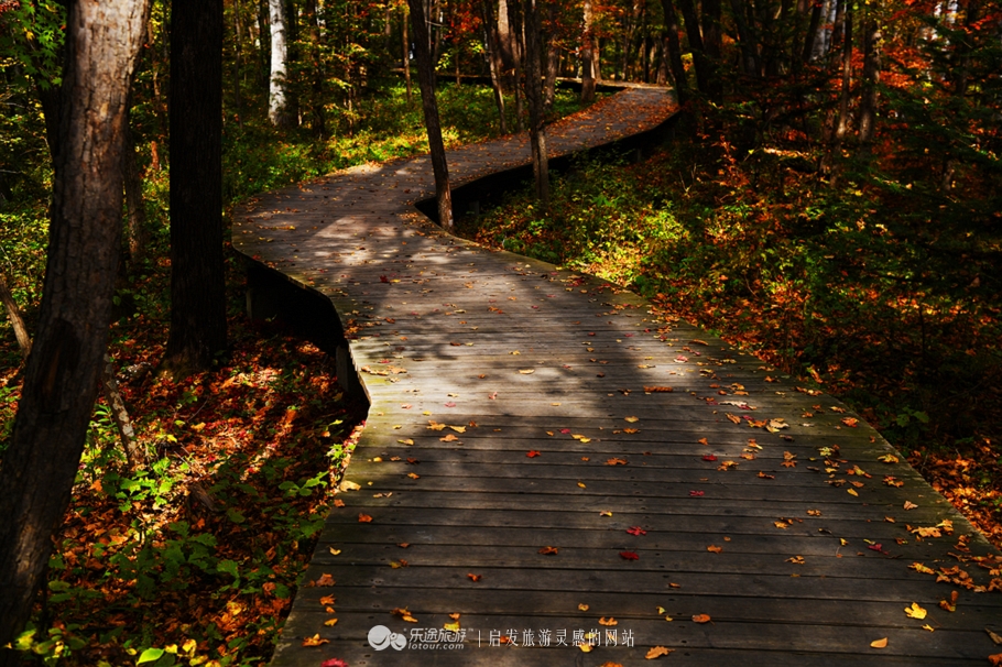 落英缤纷指的是哪个季节,落英缤纷是美景吗