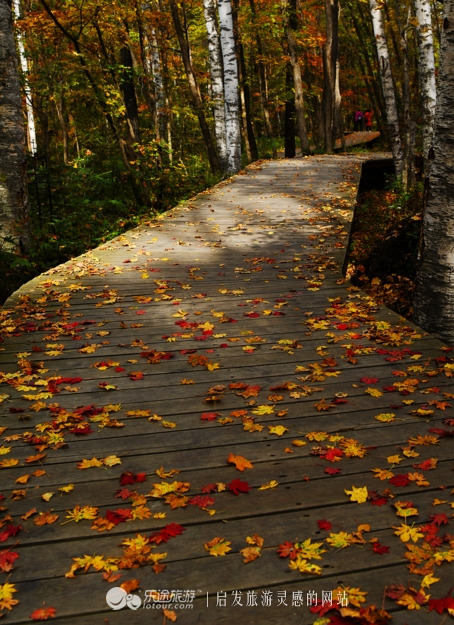 落英缤纷指的是哪个季节,落英缤纷是美景吗