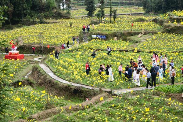 来丽水青田游玩,青田秋游