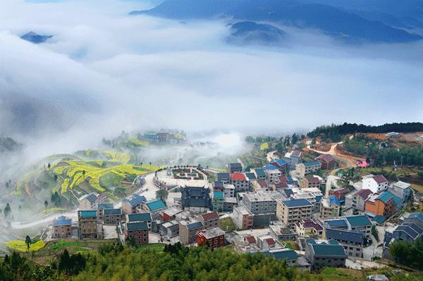 来丽水青田游玩,青田秋游