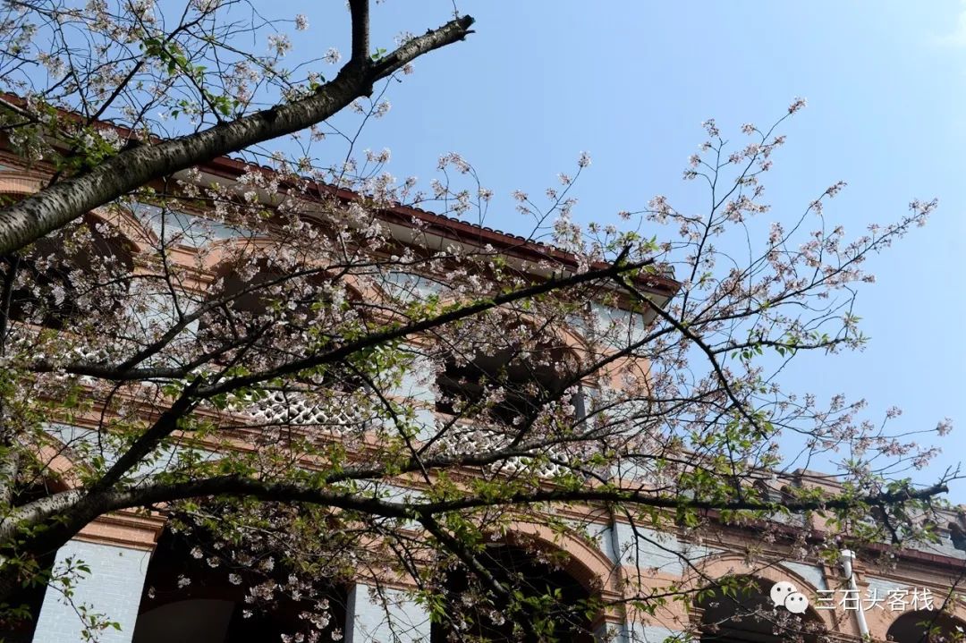 华政，往事并不如烟