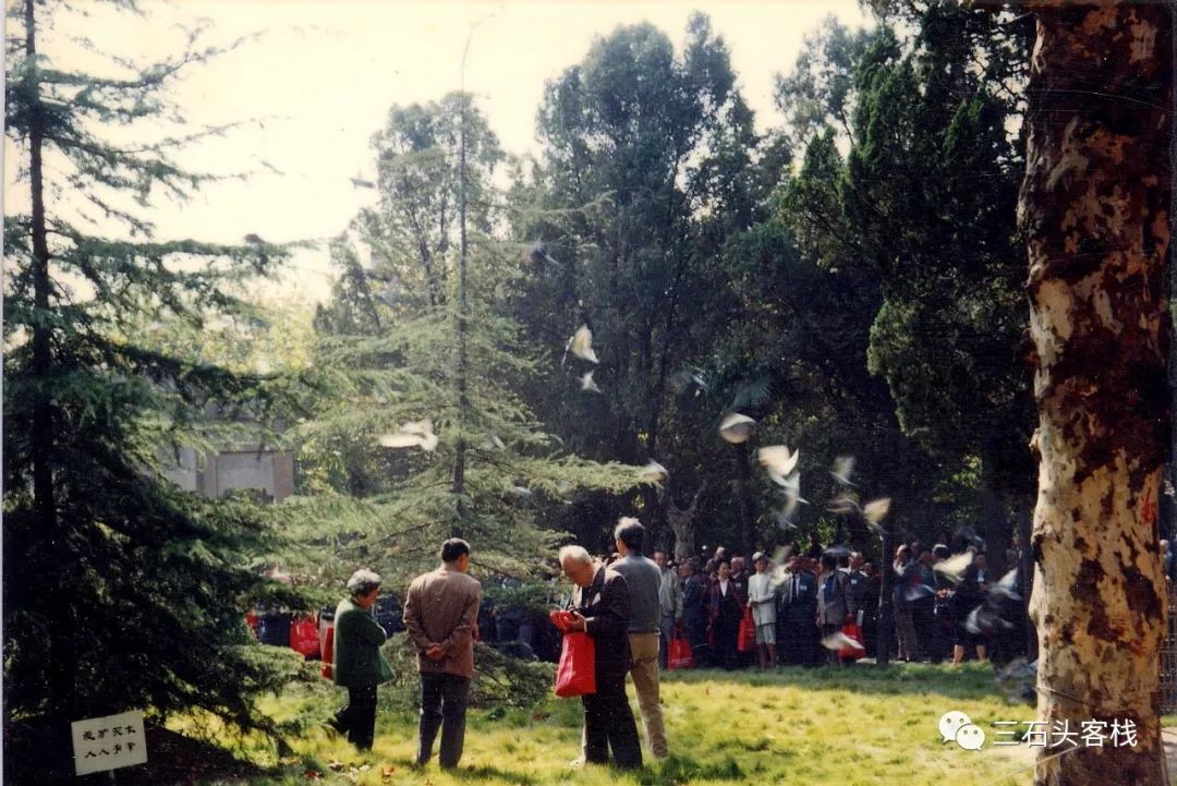 华政，往事并不如烟