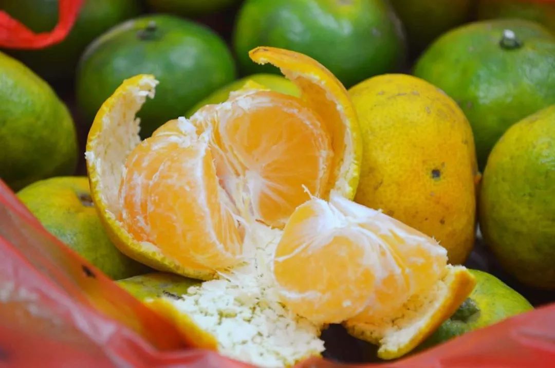 浙江哪里的橘子很有名,浙江最好的橘子