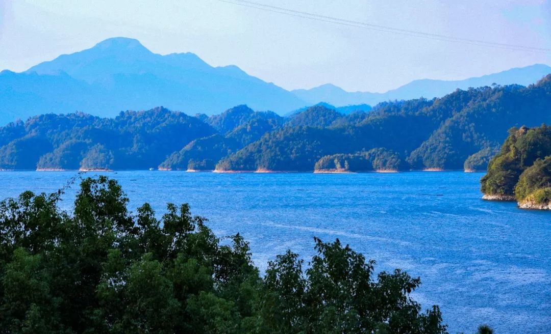 浙江哪里的橘子很有名,浙江最好的橘子