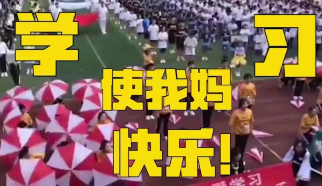 “学习使我妈快乐”，运动会标语还能再皮点？|沸话