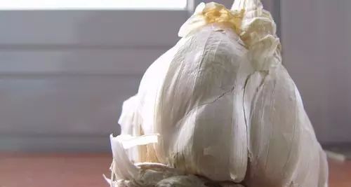 全网最精辟的50条生活小妙招,生活小妙招分享给热爱生活的你