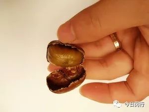 秋季大量上市的这个美食，怎样的才最好吃？