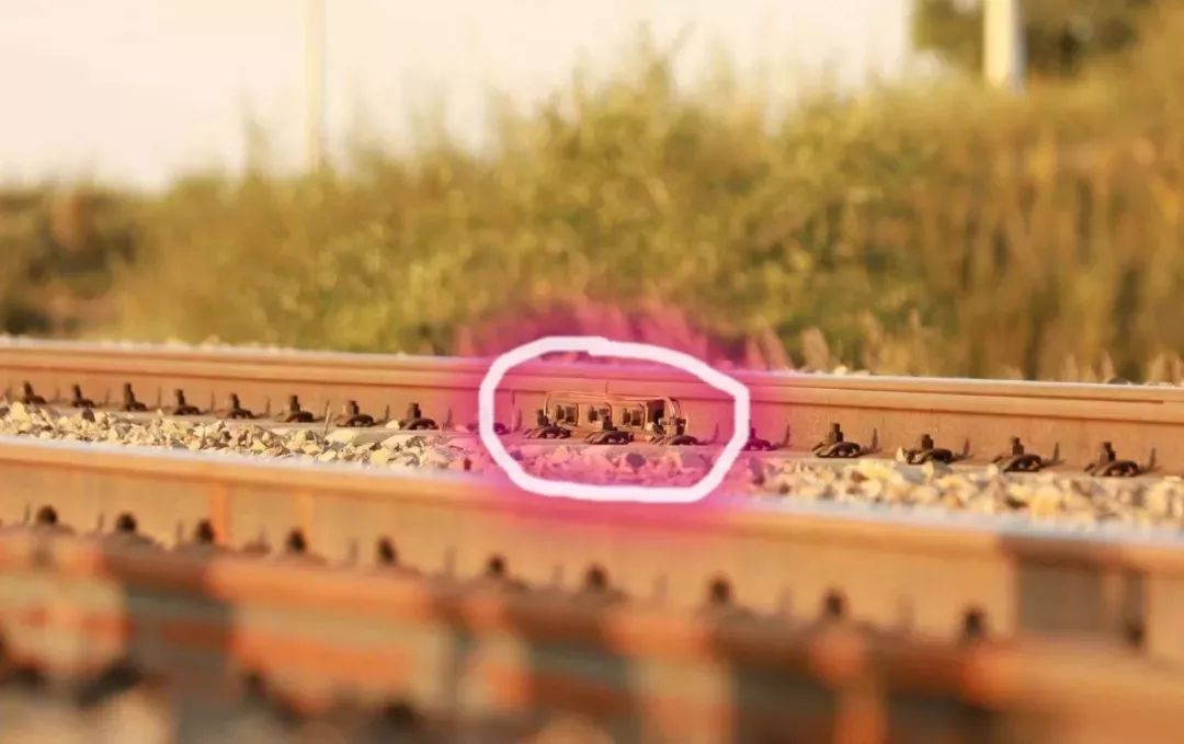 这些生活中的经典语句不读不知道,这些日常用语你学会了吗