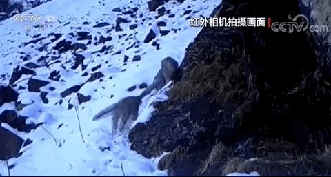 「玉田你早」2019年10月27日（周日）农历九月二十九今日非营运小型汽车不限行