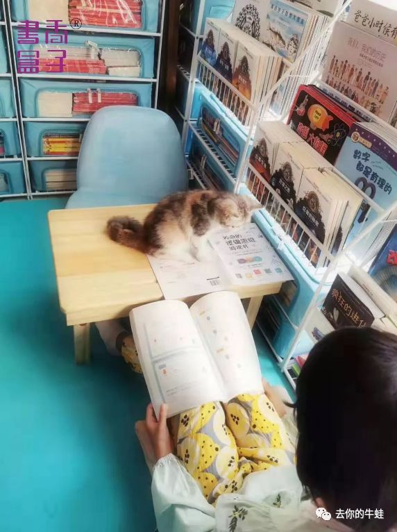 马卡龙书架+阅读地垫+阅读小桌，书香三连打造阅读角