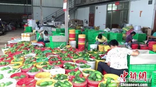 广西乡村将大变样！2022年基本实现“处处能上网、时时可上网”