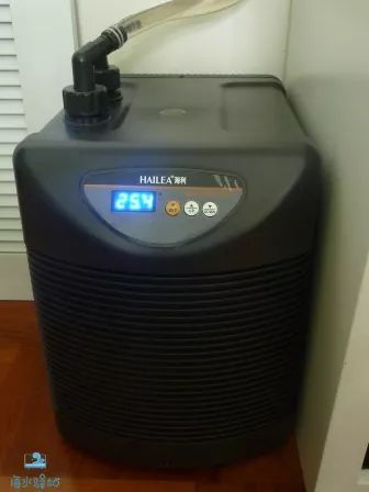 鱼缸用什么样的冷水机比较好,海水鱼缸冷水机哪个牌子的好