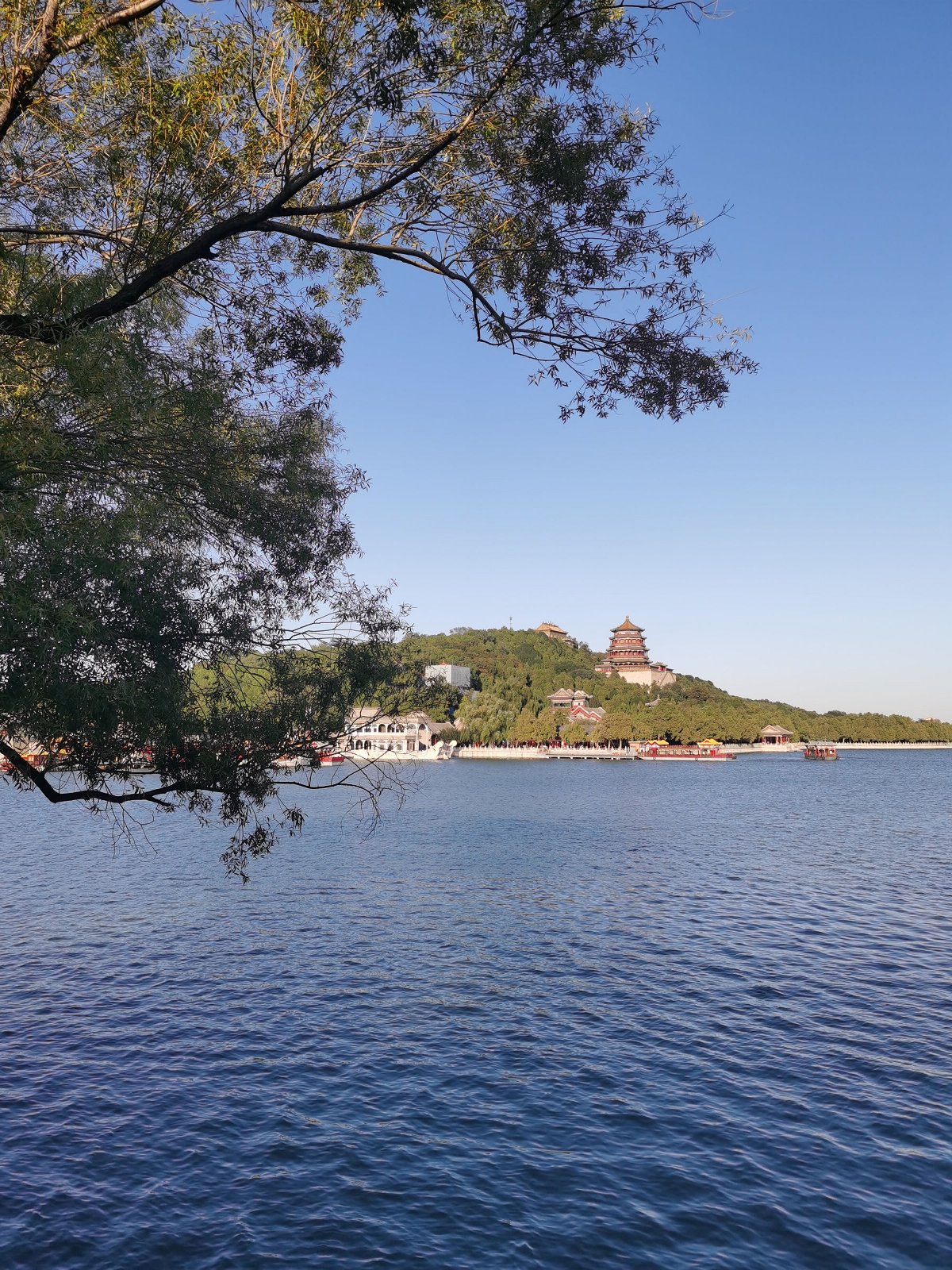 华为mate30pro前摄像头近拍,华为mate30pro前摄像头拍照效果