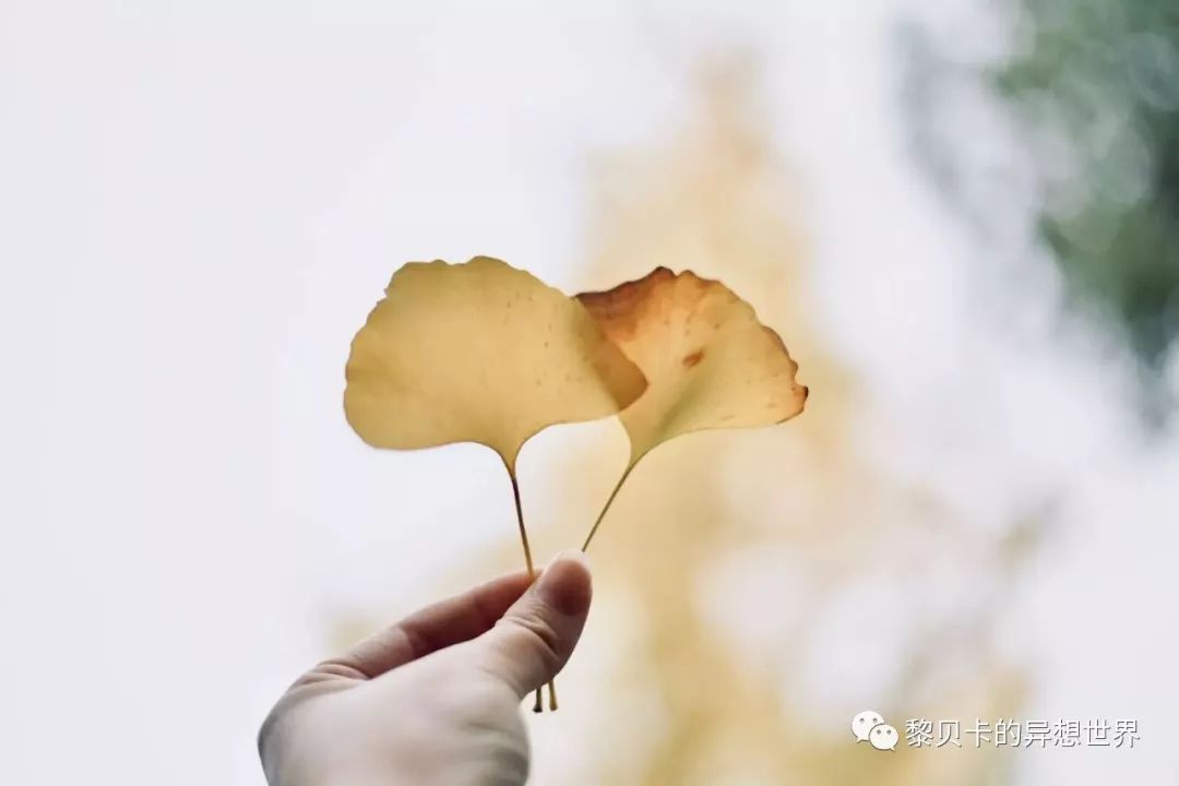 贝壳分享｜|她们说，秋冬也要认真穿