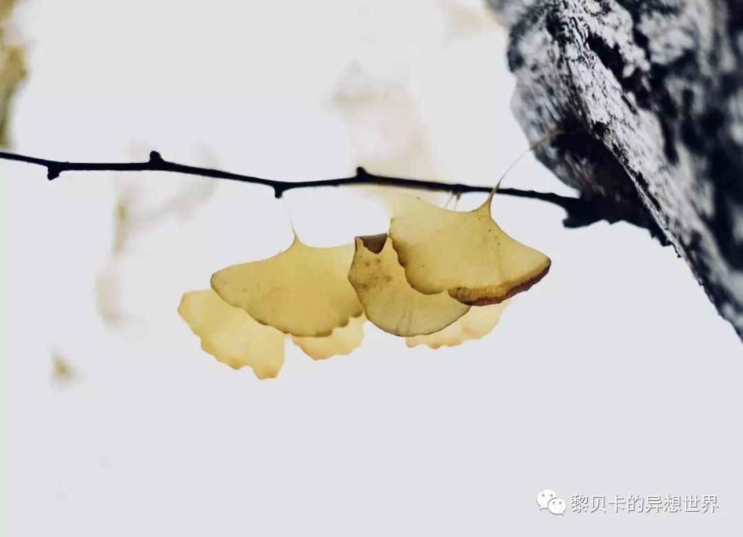 贝壳分享｜|她们说，秋冬也要认真穿