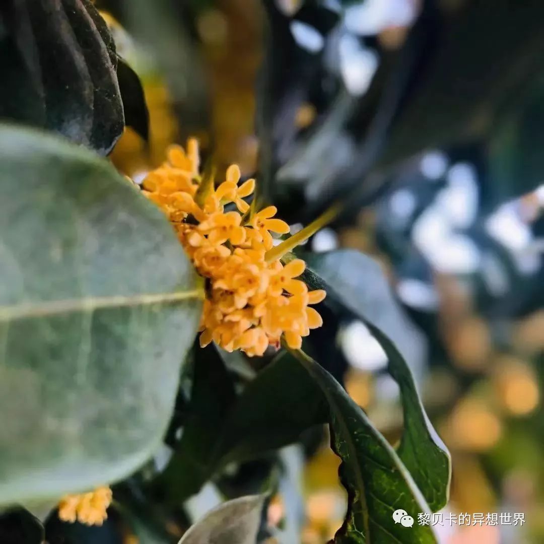 贝壳分享｜|她们说，秋冬也要认真穿