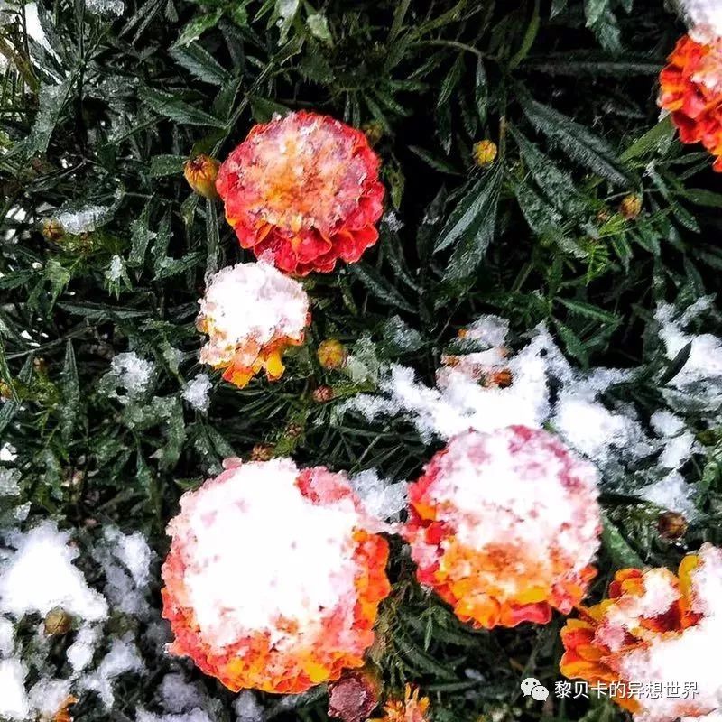 贝壳分享｜|她们说，秋冬也要认真穿