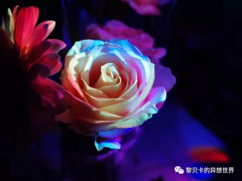 贝壳分享｜|她们说，秋冬也要认真穿