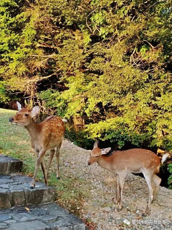 贝壳分享｜|她们说，秋冬也要认真穿