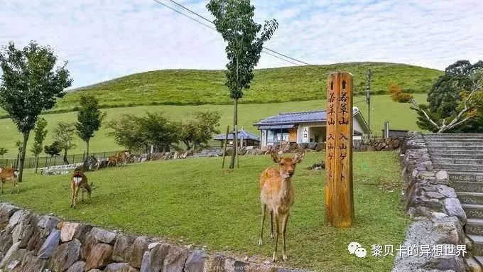 贝壳分享｜|她们说，秋冬也要认真穿