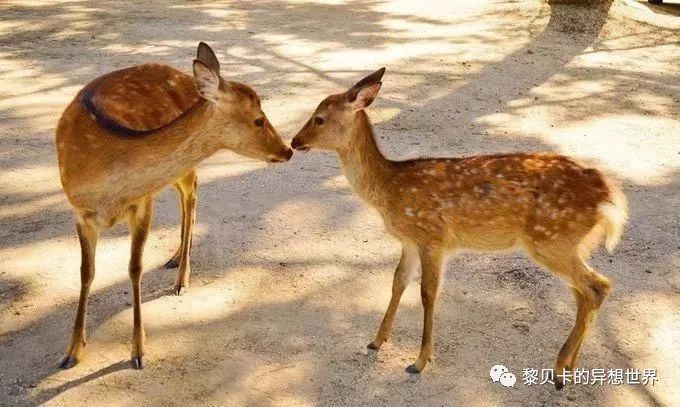 贝壳分享｜|她们说，秋冬也要认真穿