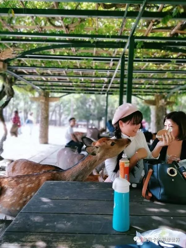 贝壳分享｜|她们说，秋冬也要认真穿