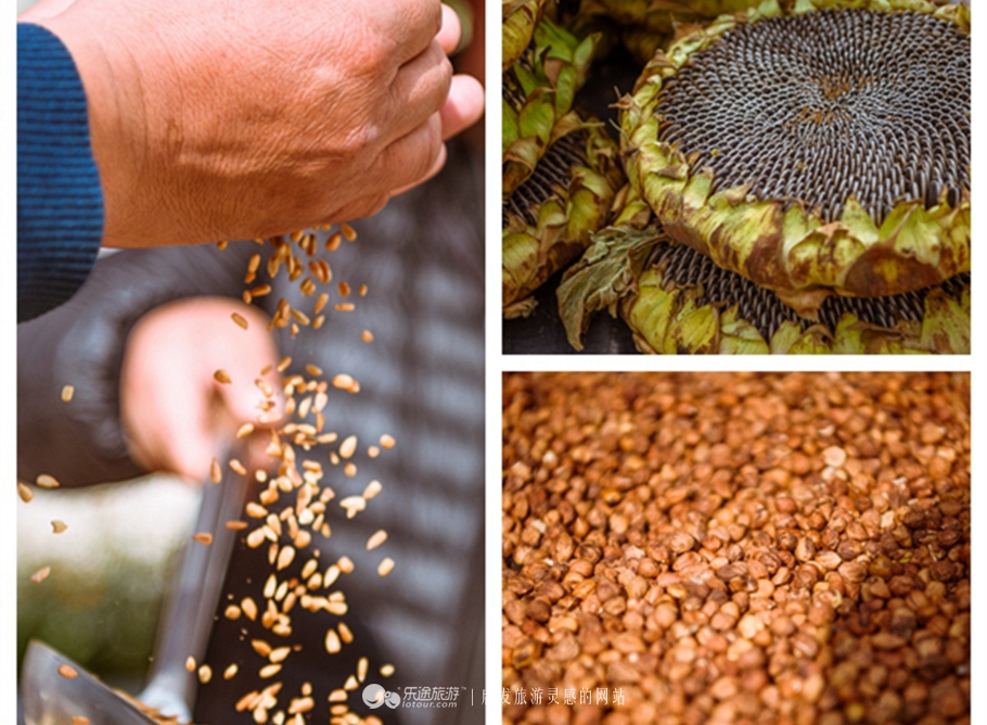 坡峰岭乡村大集,坡峰岭附近赶集