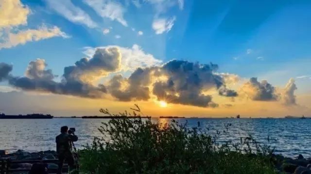 上海必打卡秋季美景,上海的秋季美景