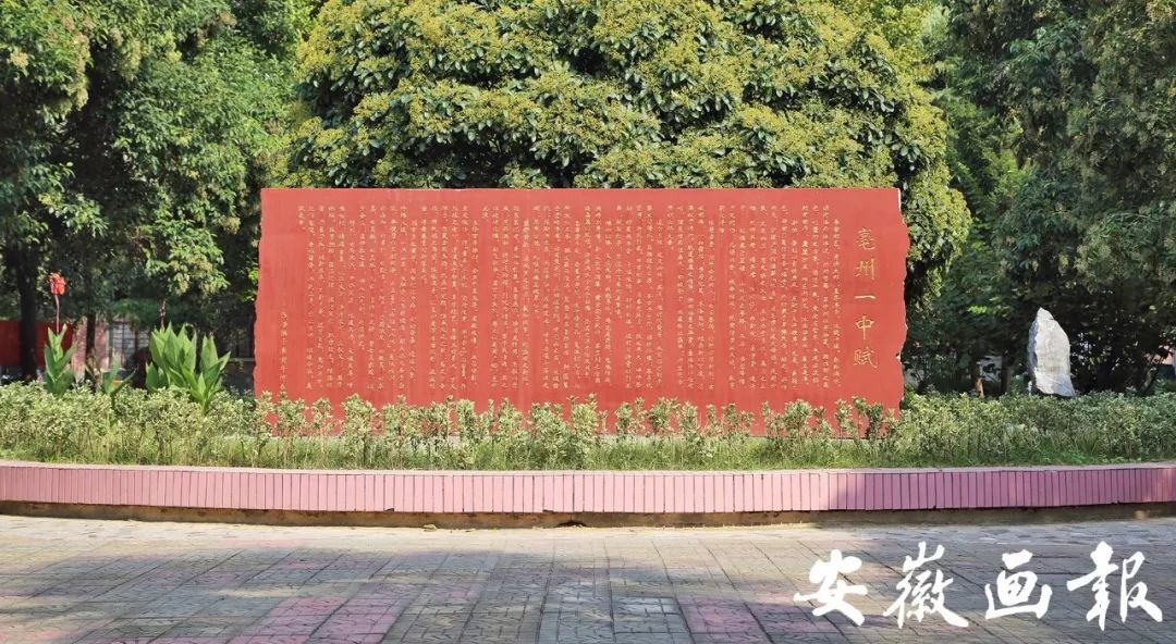 亳州市第一中学办学特点,名校之光