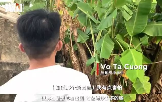 越南偷渡客血泪史,越南偷渡者回越南