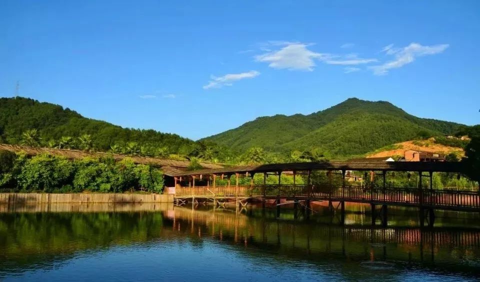 拒绝“套路”！闽侯人家门口这场“国潮范”双十一活动优惠最实在