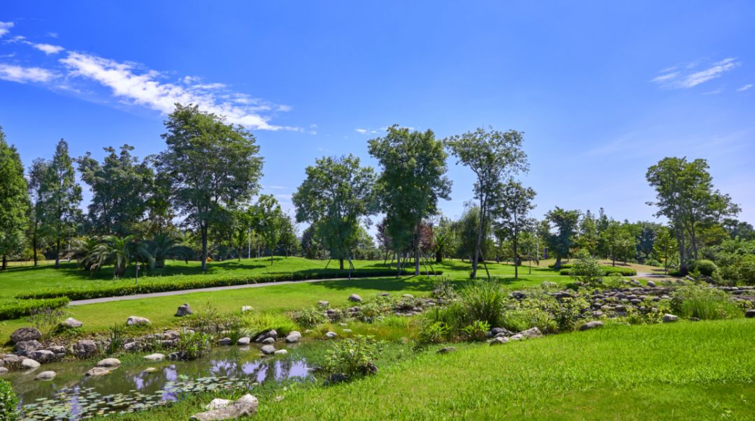 天府中央商务区楼盘,成都天府新区河畔新世界一期实景