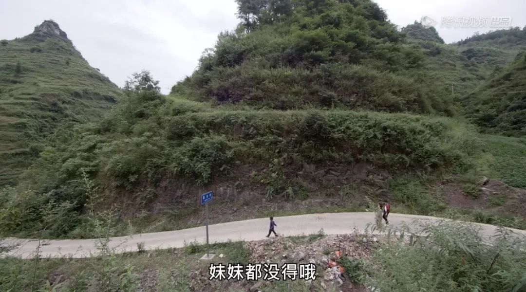 奇遇人生大鹏感动流泪,奇遇人生观看