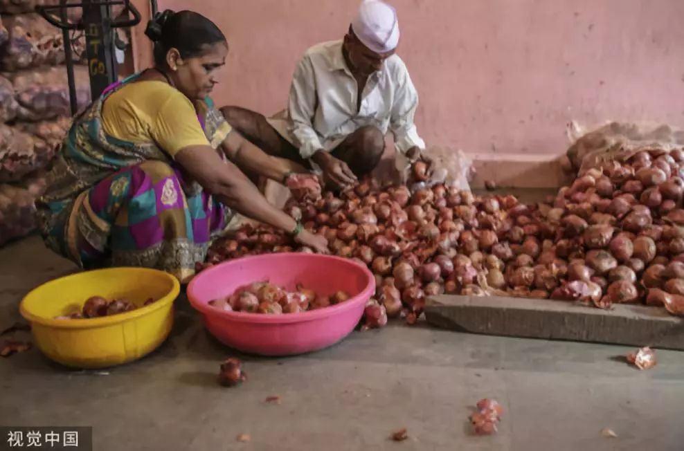 一颗洋葱让我泪流满面,印度为什么会出现洋葱危机