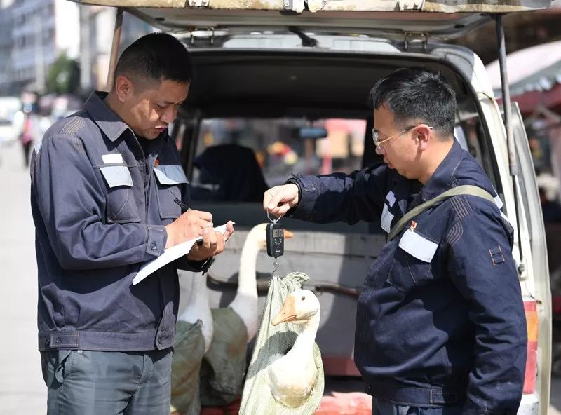 电网男女送礼都有啥？网友：送个锤子