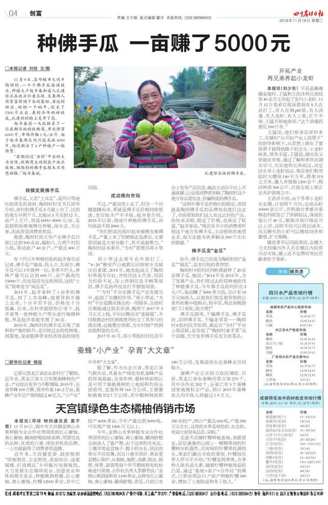 种佛手瓜一亩赚了5000元,种佛手瓜真的赚钱吗