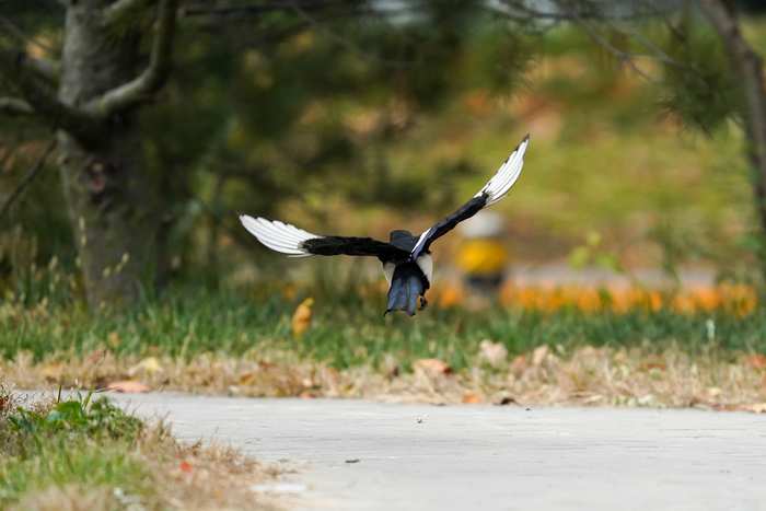 索尼a99ii现在怎样,越用越快的手机排行榜